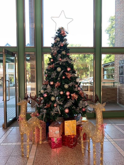ImgDesc